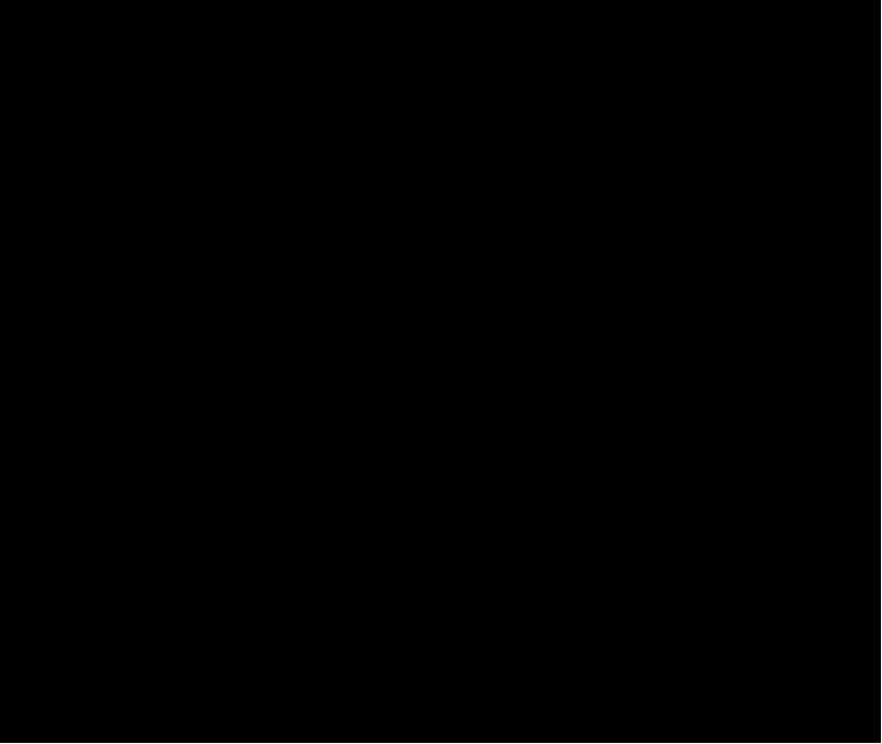 ymlite chat client